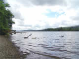 Coniston Lake